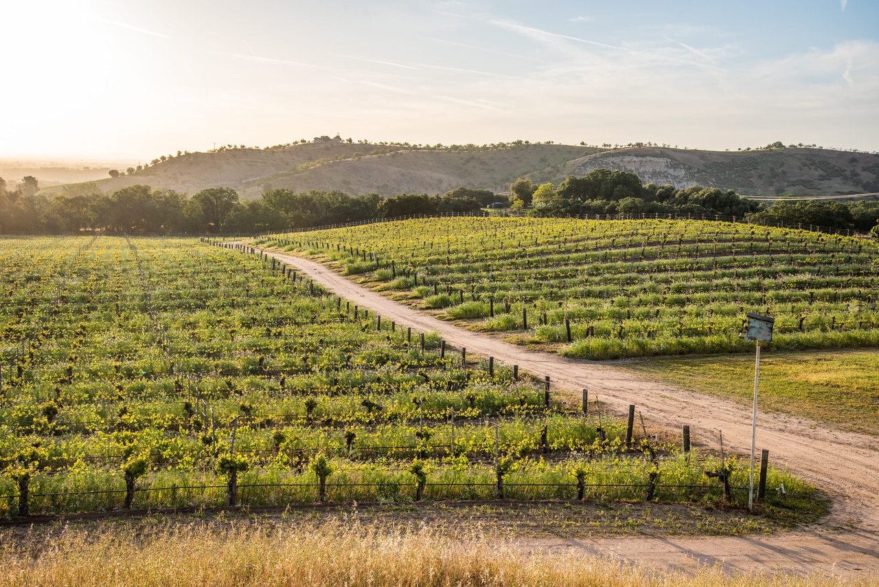 Paso Robles Paradise