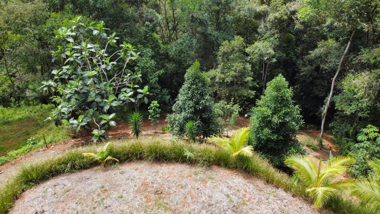 Half Acre Lot in Platanillo, Minutes to the beach of Dominical