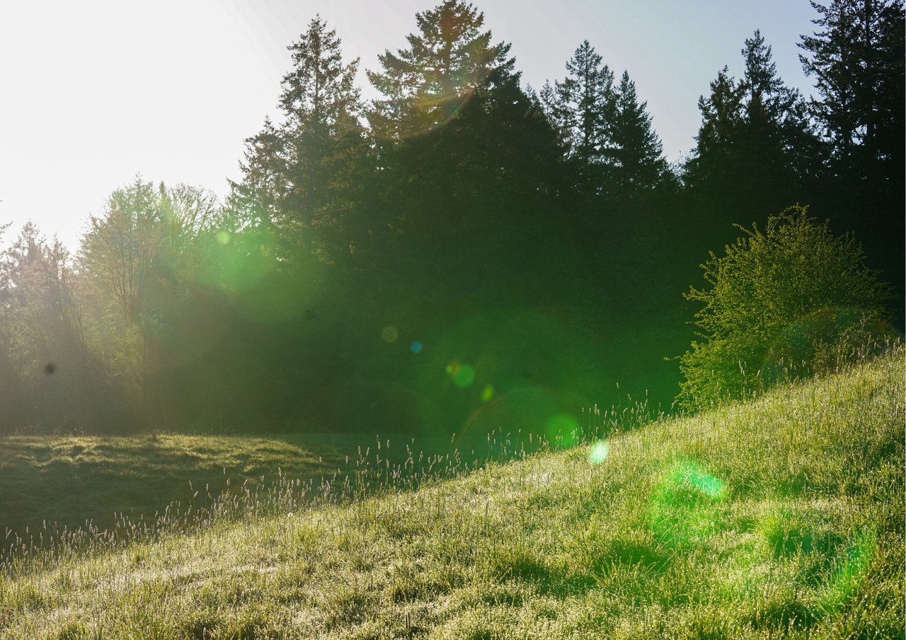 WANT TO BUY LAND? HERE ARE 3 THINGS TO KEEP IN MIND