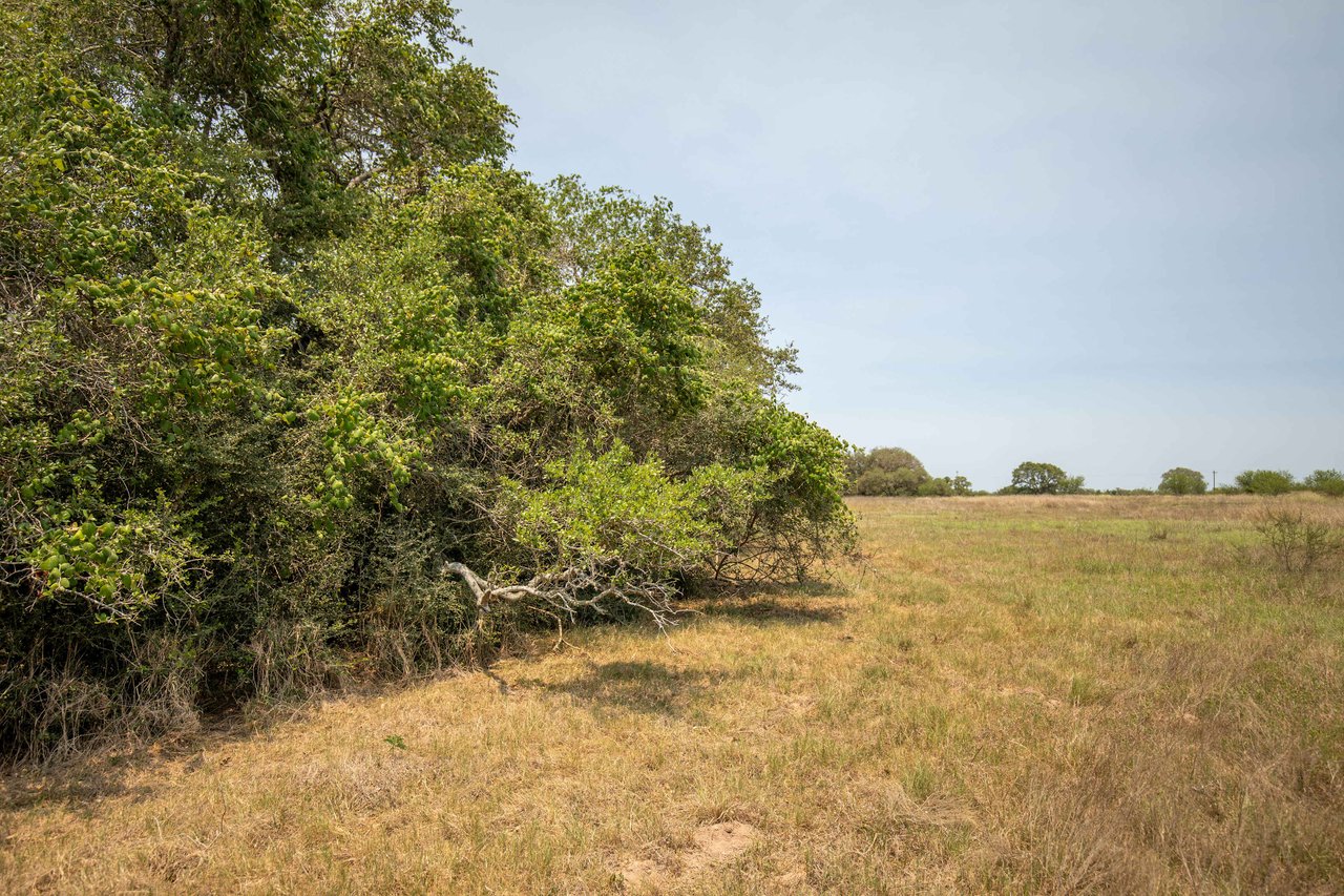 Green DeWitt Rd | 40.82± Acres | DeWitt County
