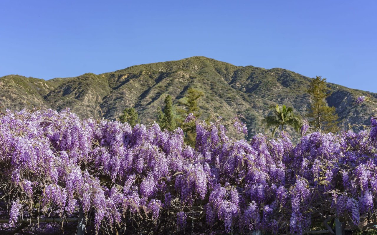 Sierra Madre