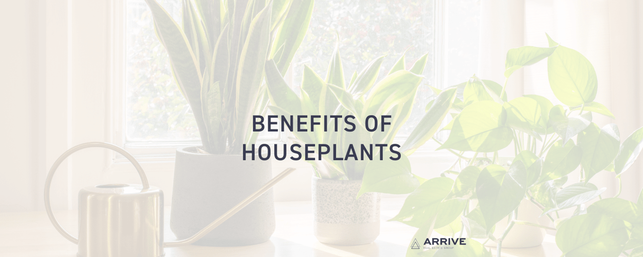 Benefits of Houseplants