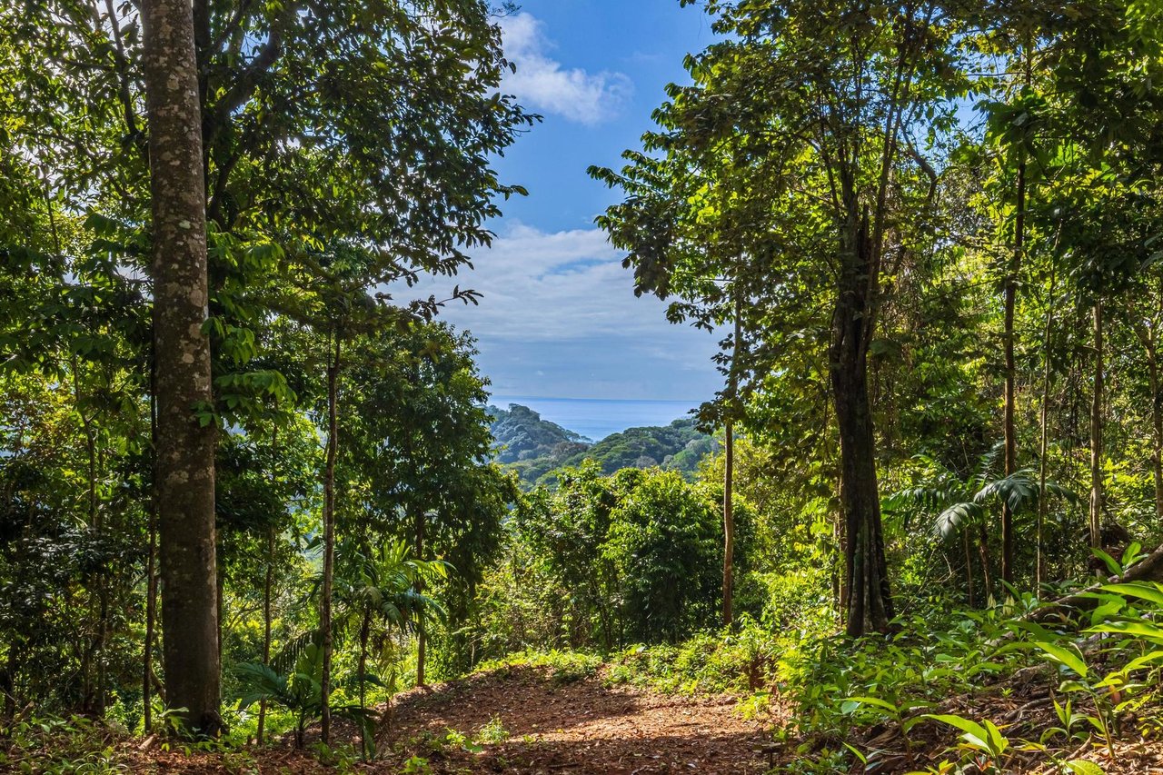 Private Ocean View Development Lot, Dominical, Puntarenas
