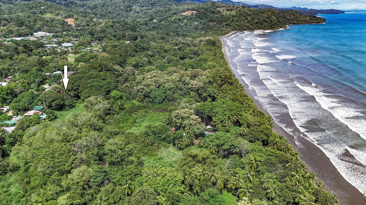 A highly-rated and high-occupancy resort with a hotel, cabins, on-site restaurant and a pool an easy 5-minute walk from PLAYA UVITA and Marino Ballena National Park!