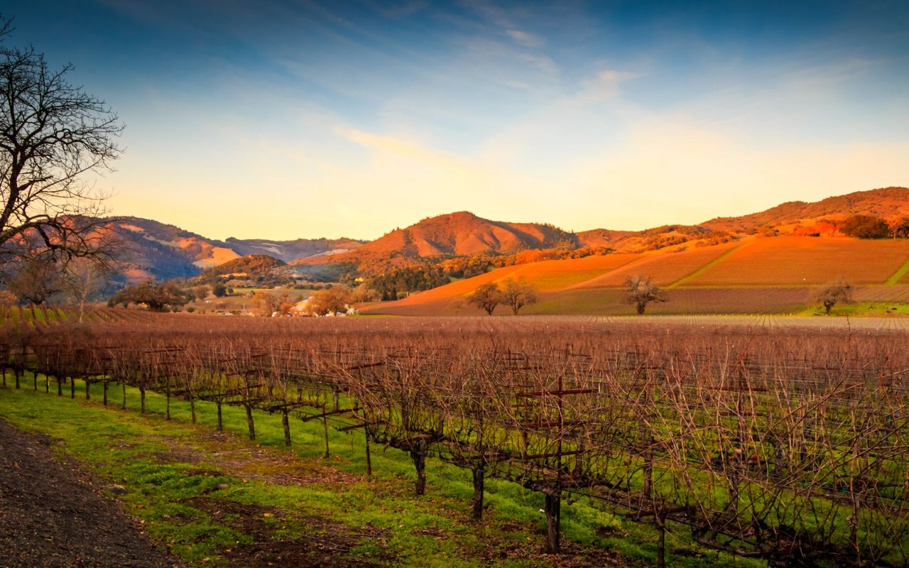 Sonoma 