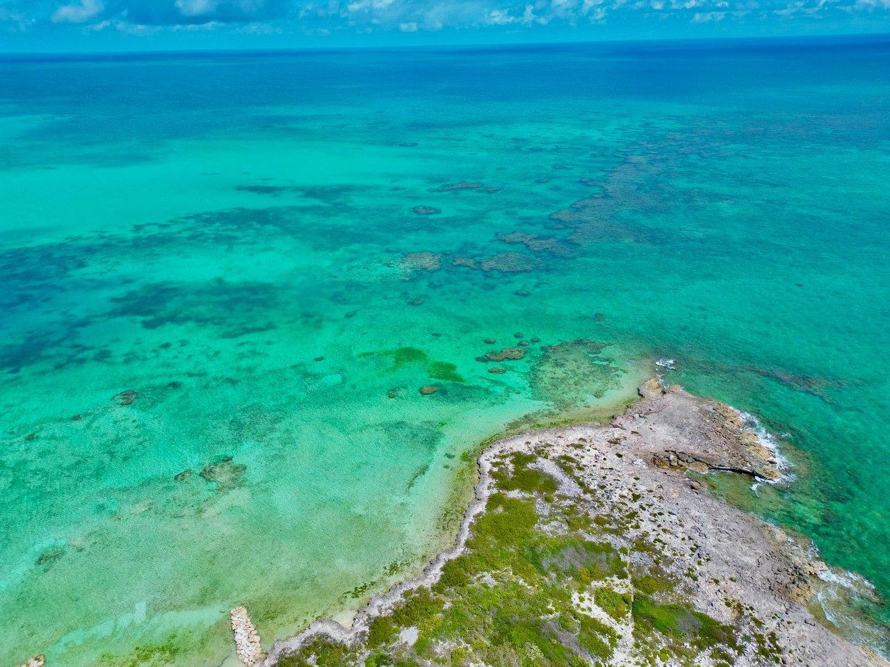 Tarpon Point-Ambergris Cay