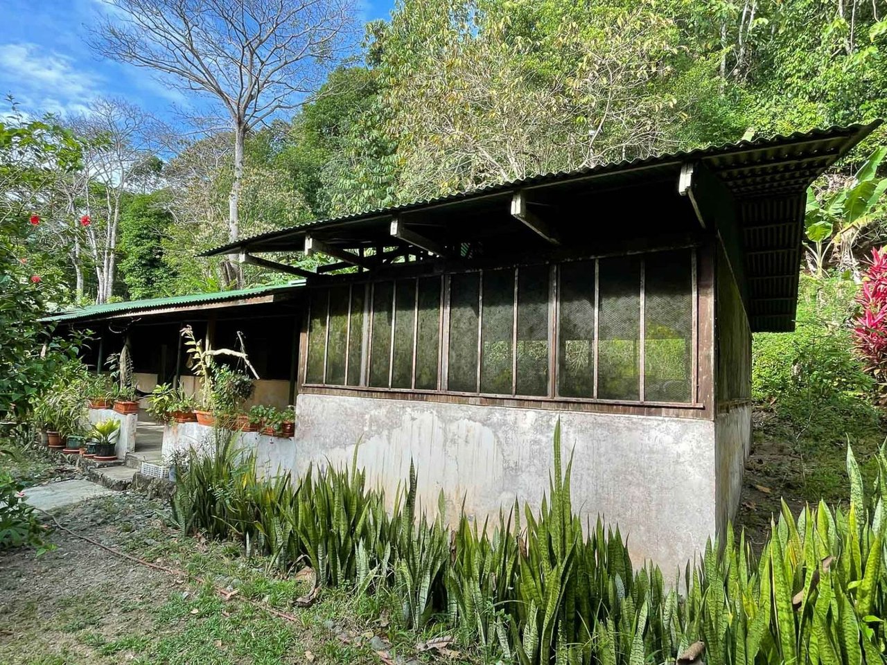 Pacific Frontage Rainforest Estate, Osa, Puntarenas