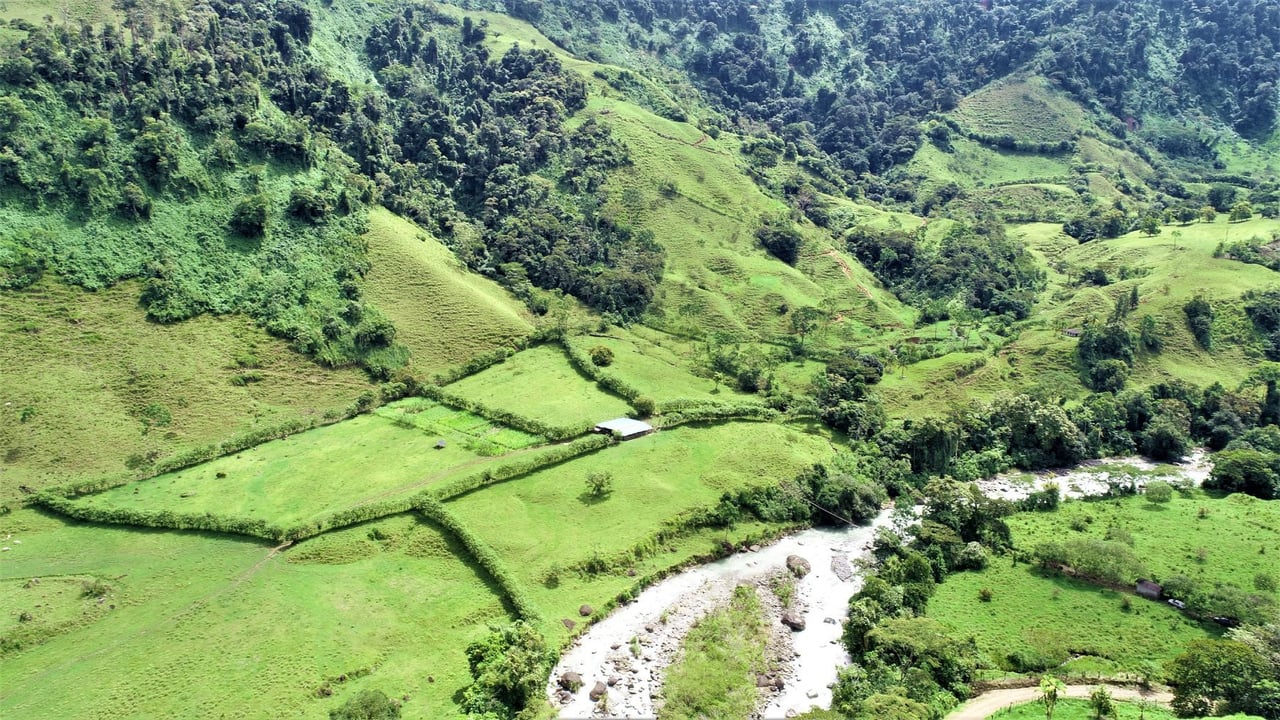 Riverfront Forest Farm, Perez Zeledon, San Jose
