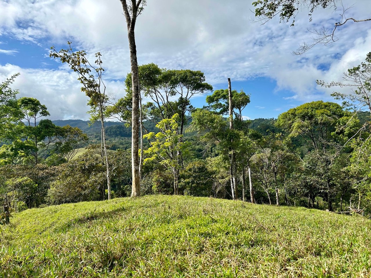 Hidden Gem: Serene Farm Retreat with Majestic Views in Costa Rica