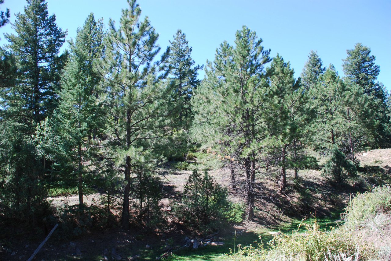 Elk Mountain Ranch