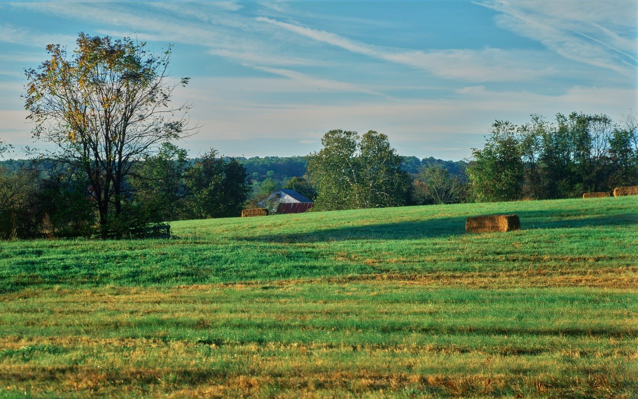 PHOENIXVILLE