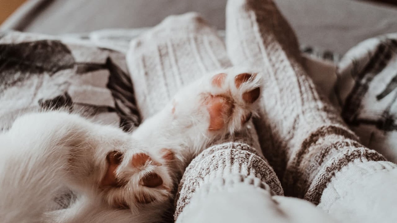 4 Ways to Turn Your Bedroom into a Good-Night’s-Sleep Enabler