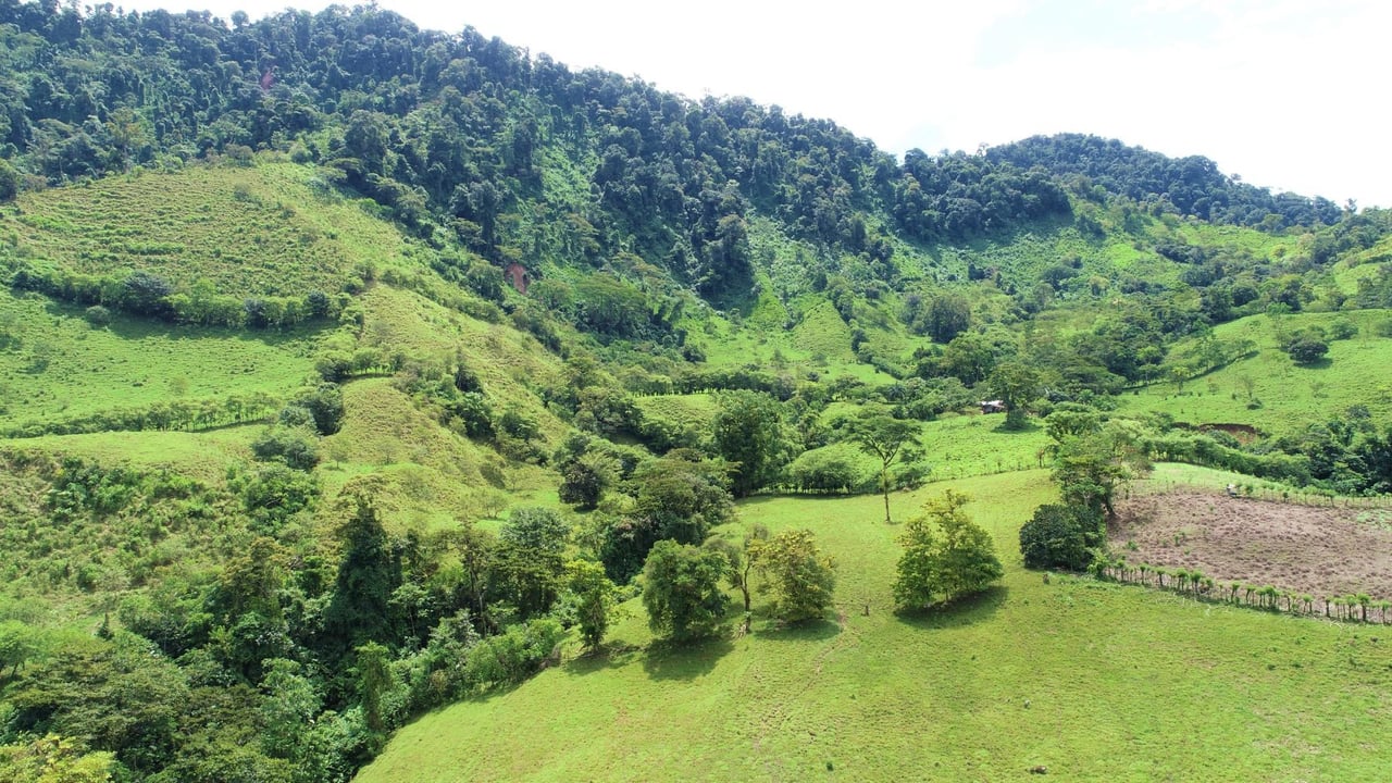 Riverfront Forest Farm, Perez Zeledon, San Jose