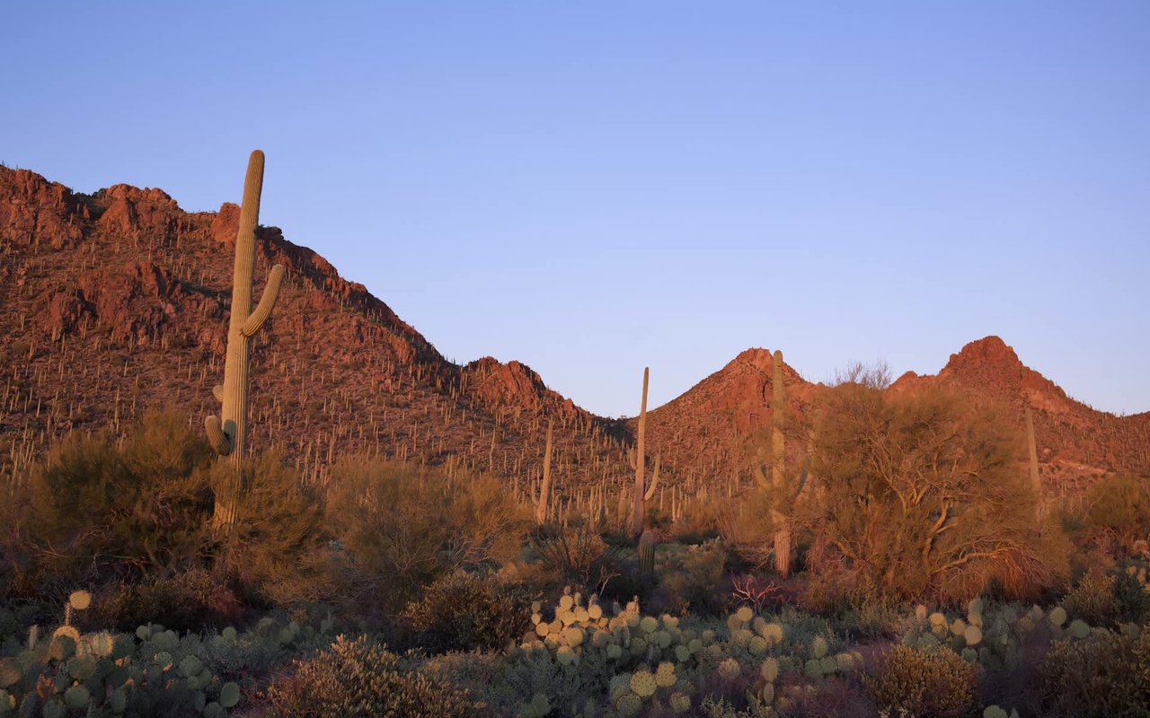 Living in Tucson, AZ