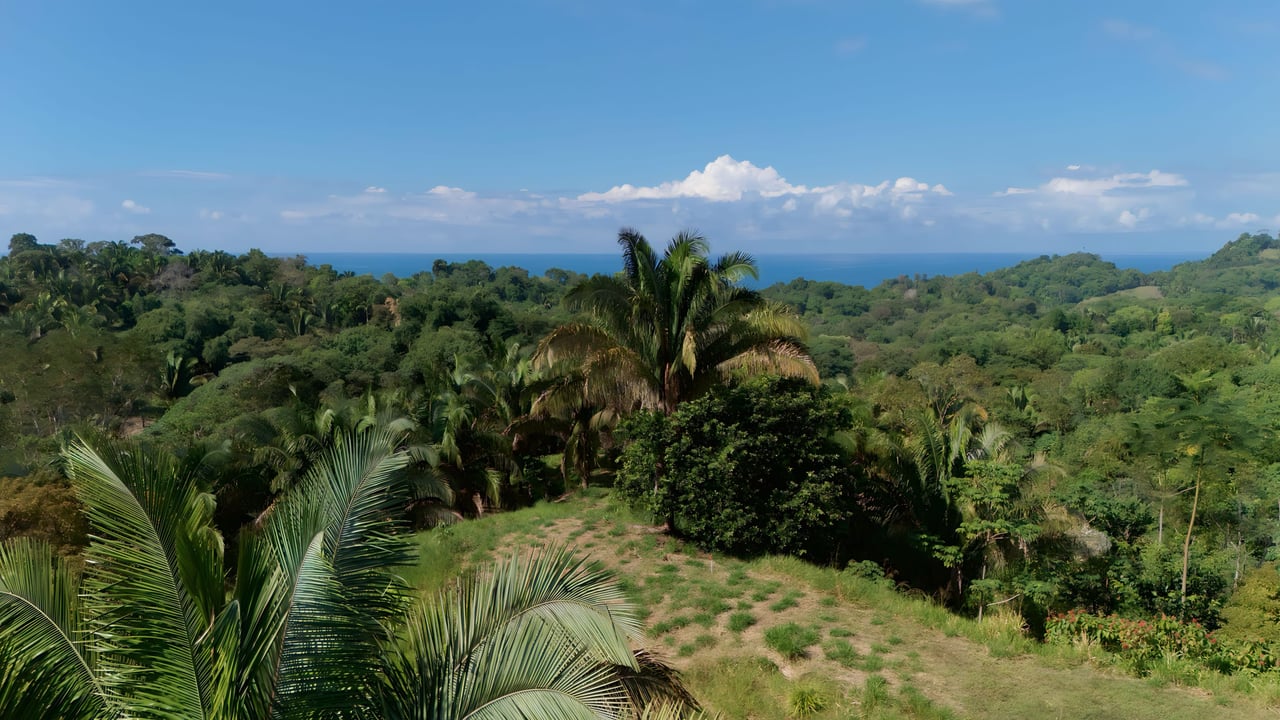  Exclusive Hermosa 1.2 Acre Lot with Panoramic Mountains and Ocean View. 