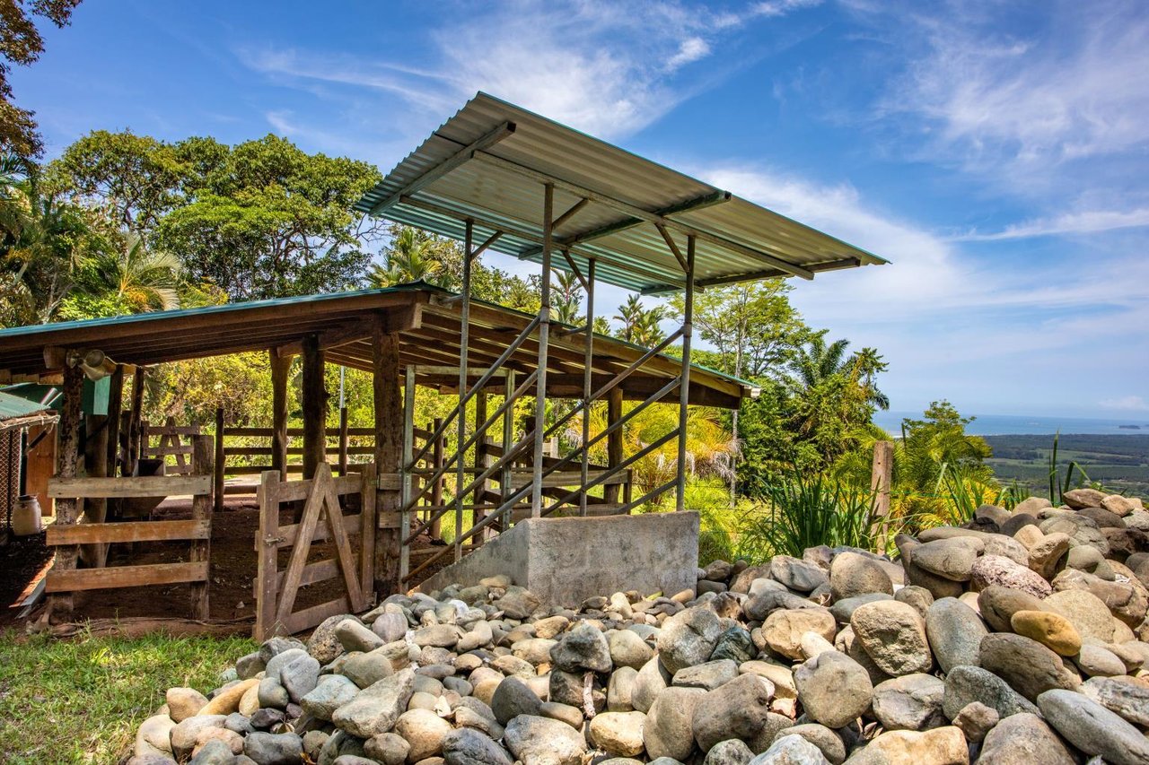 Incredible 7,000 Ft2 Ocean View Home With 200 Acre Reserve!