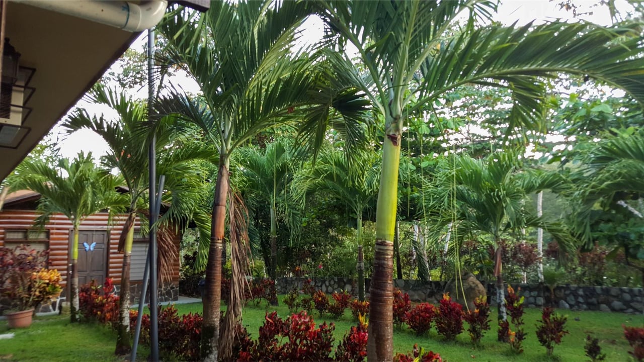 Multi Residential Income Estate, Uvita, Puntarenas