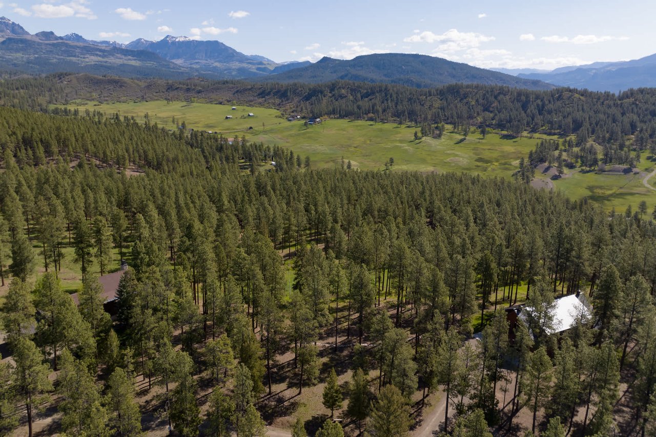 Watusi Ranch - Pagosa Springs, Colorado