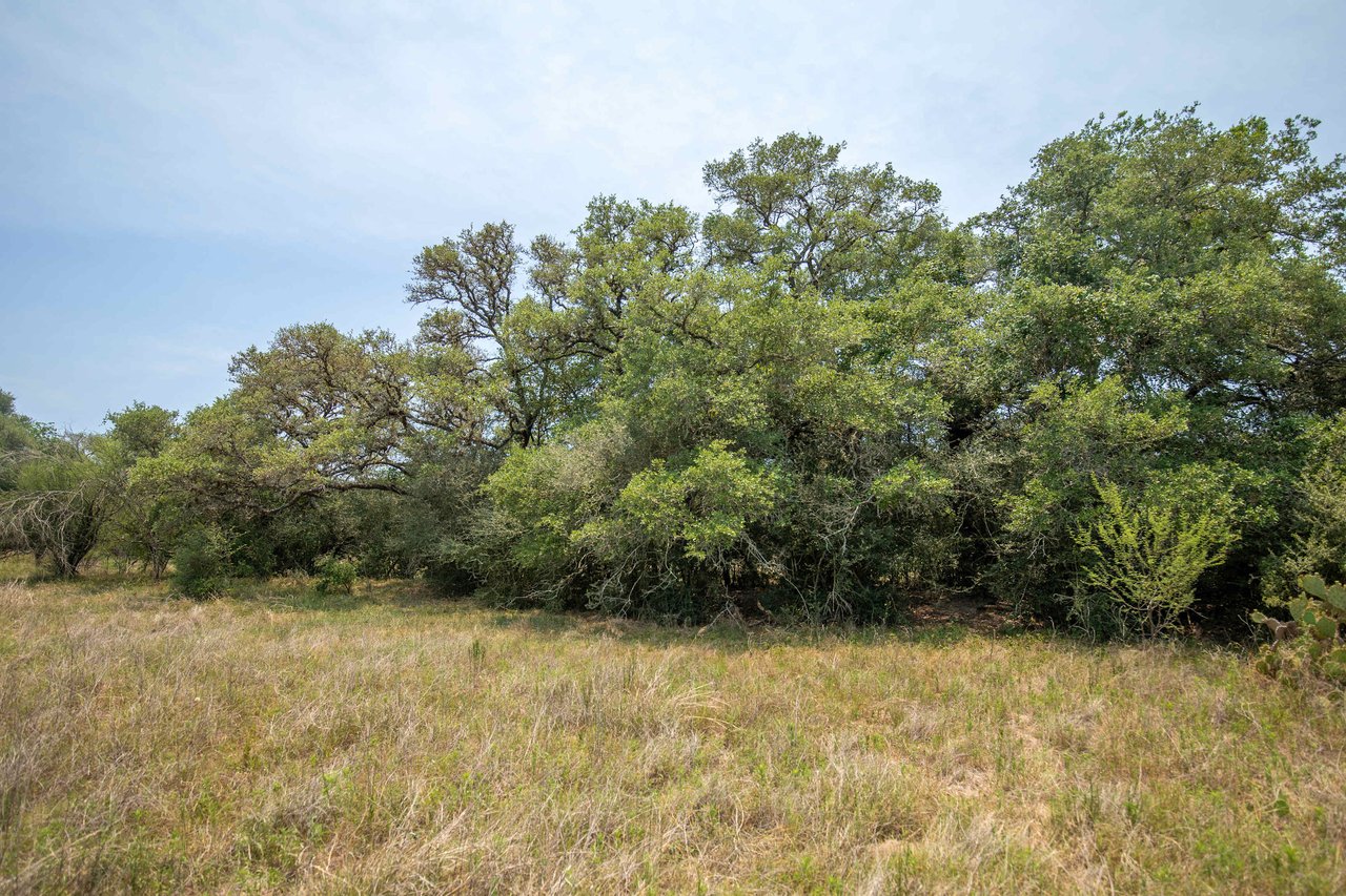Green DeWitt Rd | 40.82± Acres | DeWitt County