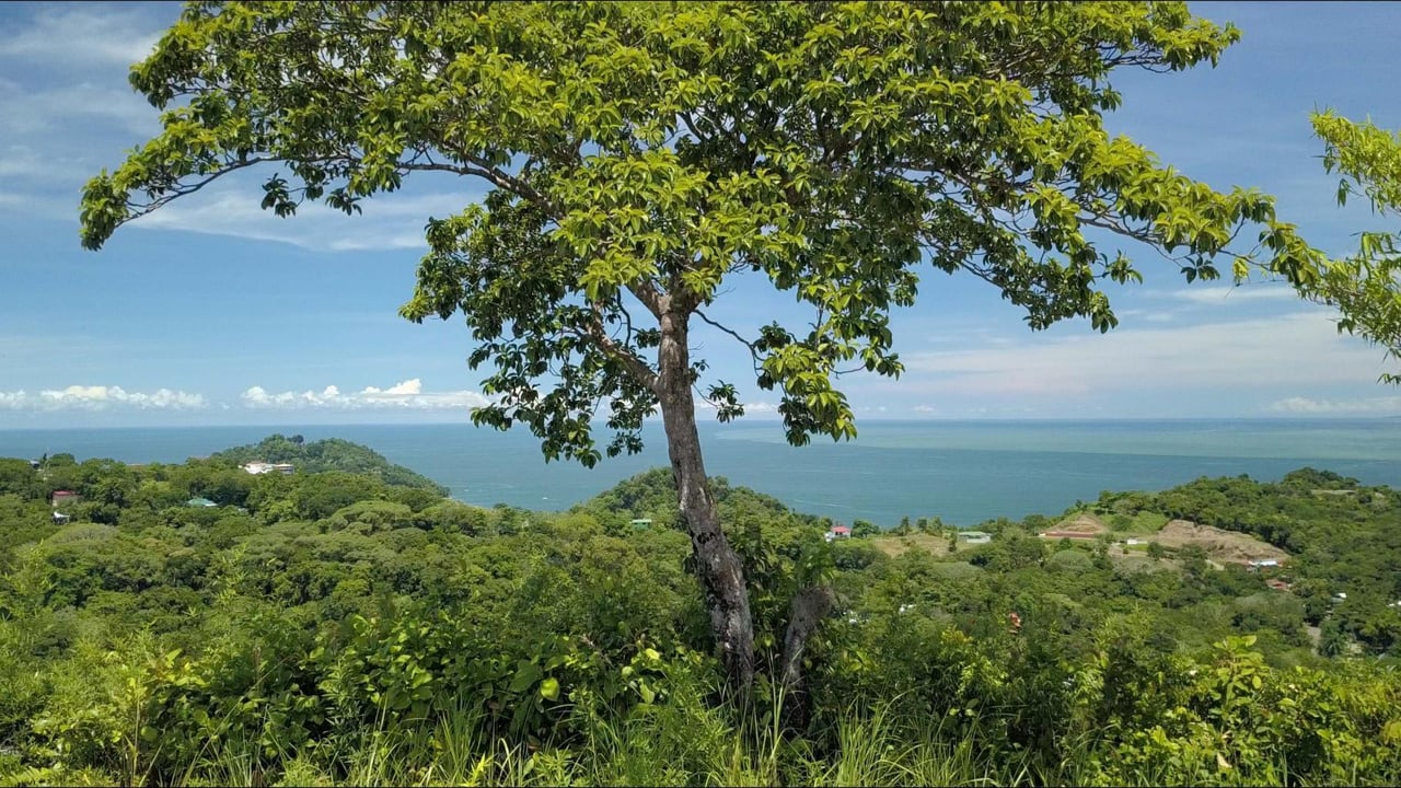 205 Acre Ranch W. Unsurpassed Ocean Views Right in Manuel Antonio!