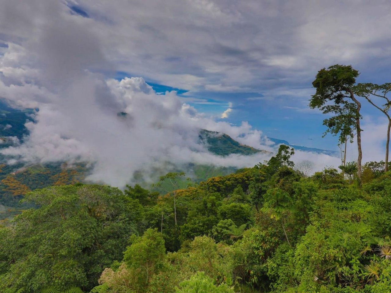 The Ultimate Sustainable Legacy, 360-degree Breath-taking Views Sea Ridge Reserve