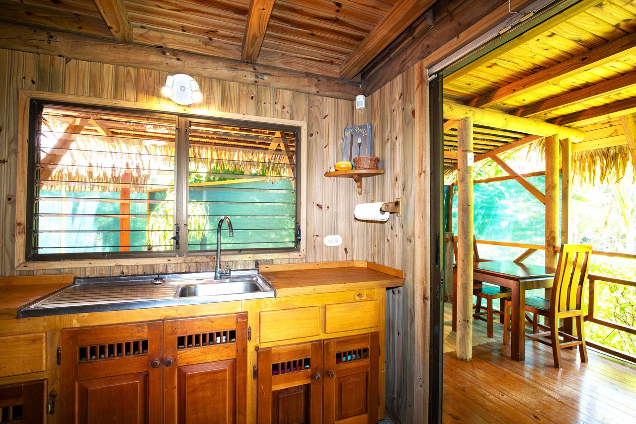 A MONEY MAKER! Location, home, guest cabins, with a SUCCE$$FUL exclusive distribution agency!