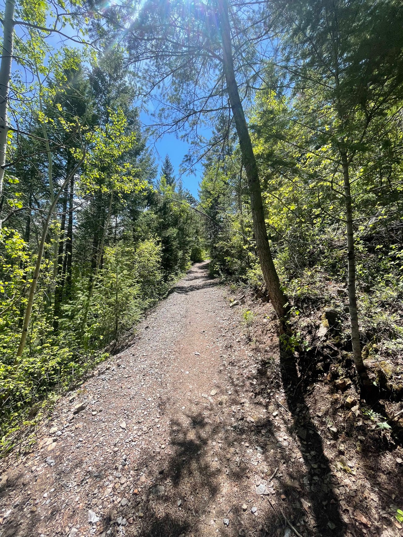 Hiking Aspen Trails - Ute Trail