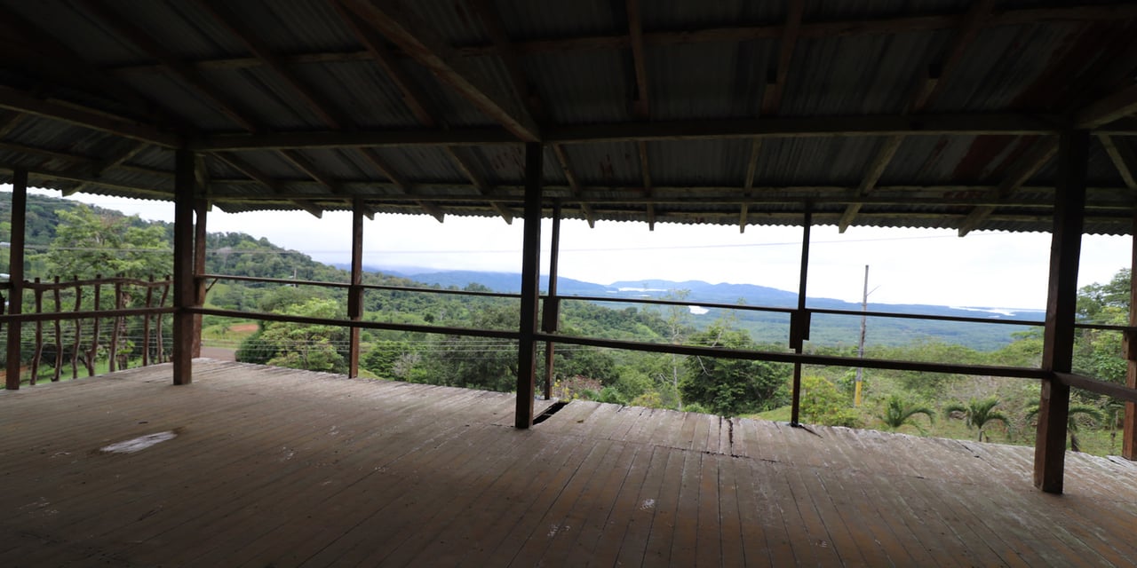 Rainforest Conservation Pasture Land, Osa, Puntarenas