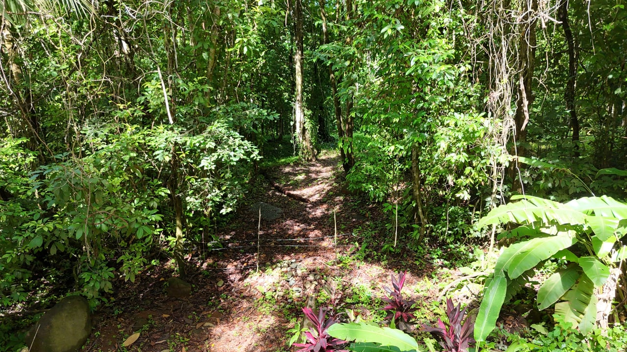 Secluded Paradise: 7.7 Acres with Breathtaking Ocean Views Along the Coast