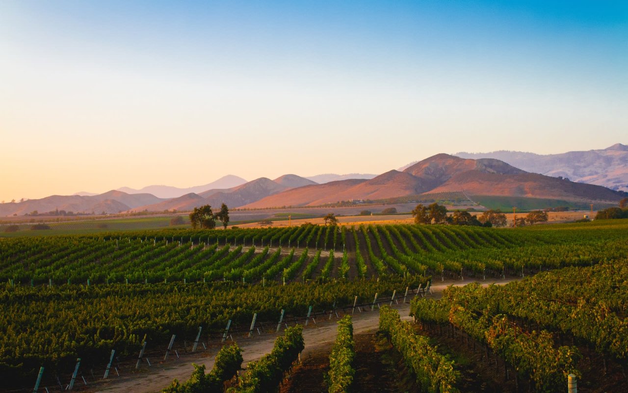 Santa Ynez Valley