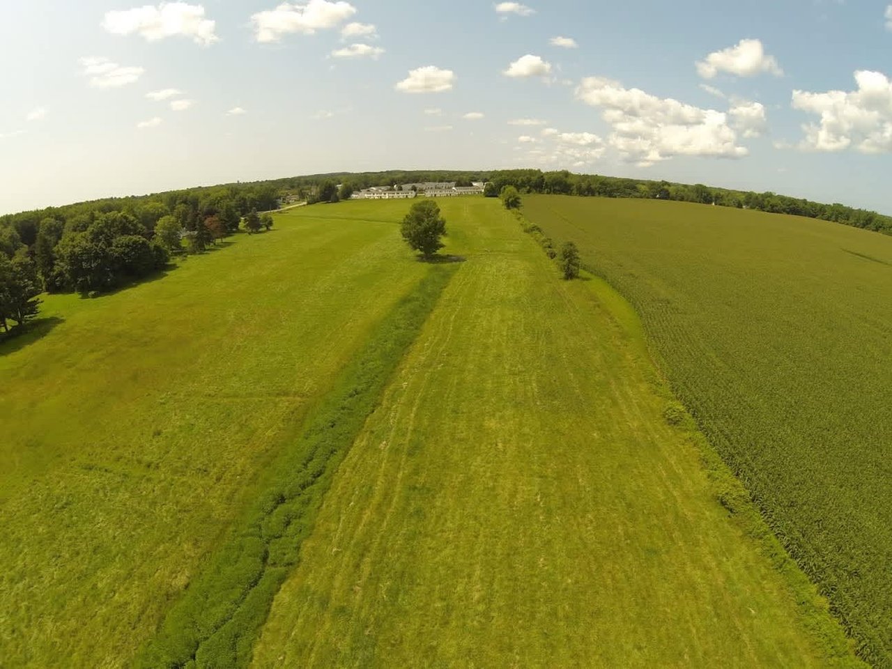 Cattle & Equine Farm