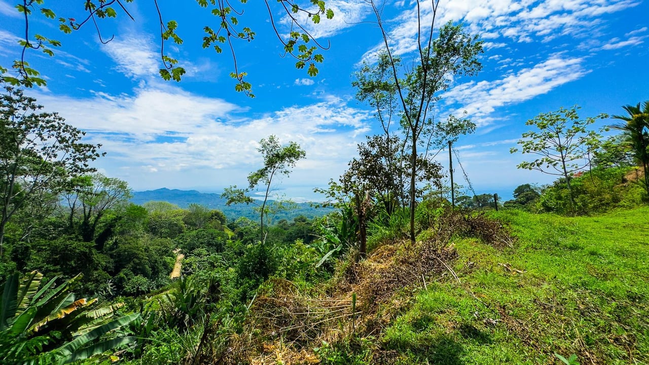 Ocean View Jungle Homesite, Ojochal, Puntarenas