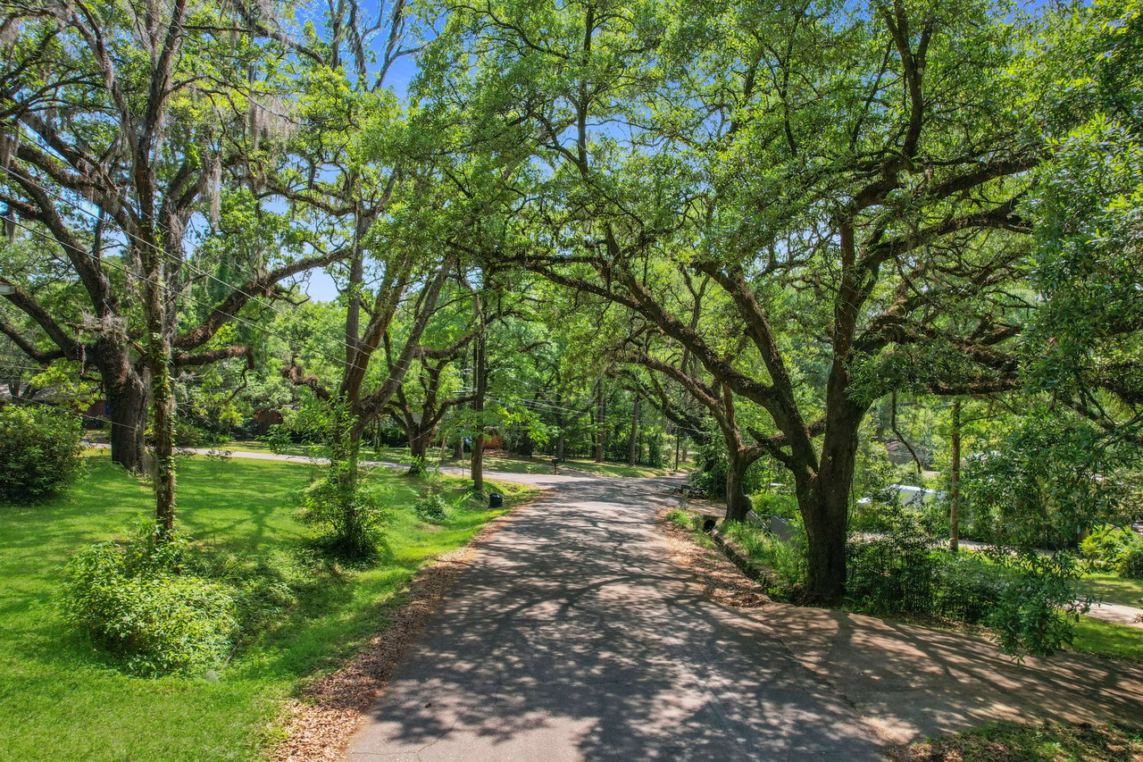 A ground-level view of a pathway through Forest Heights Hollow, surrounded by large trees and lush greenery.