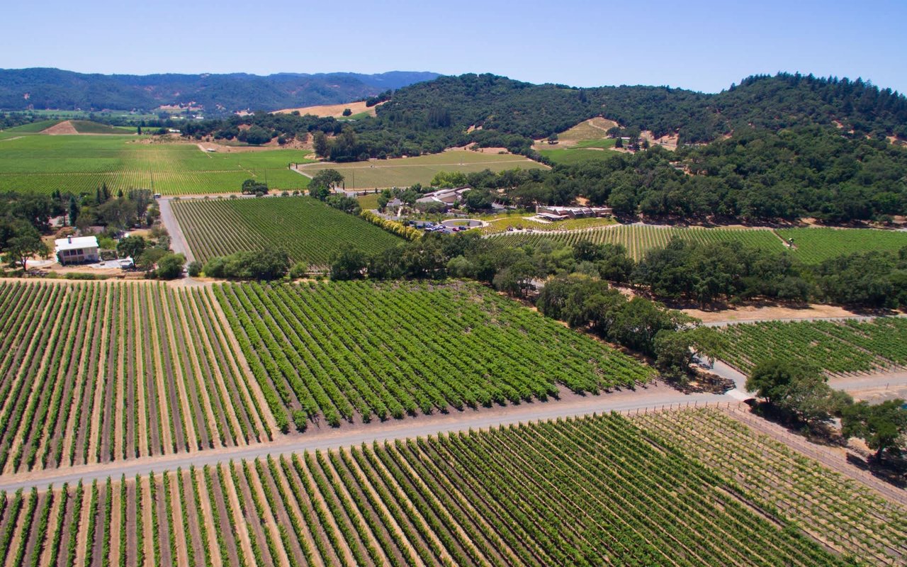 Stag's Leap, Napa Valley