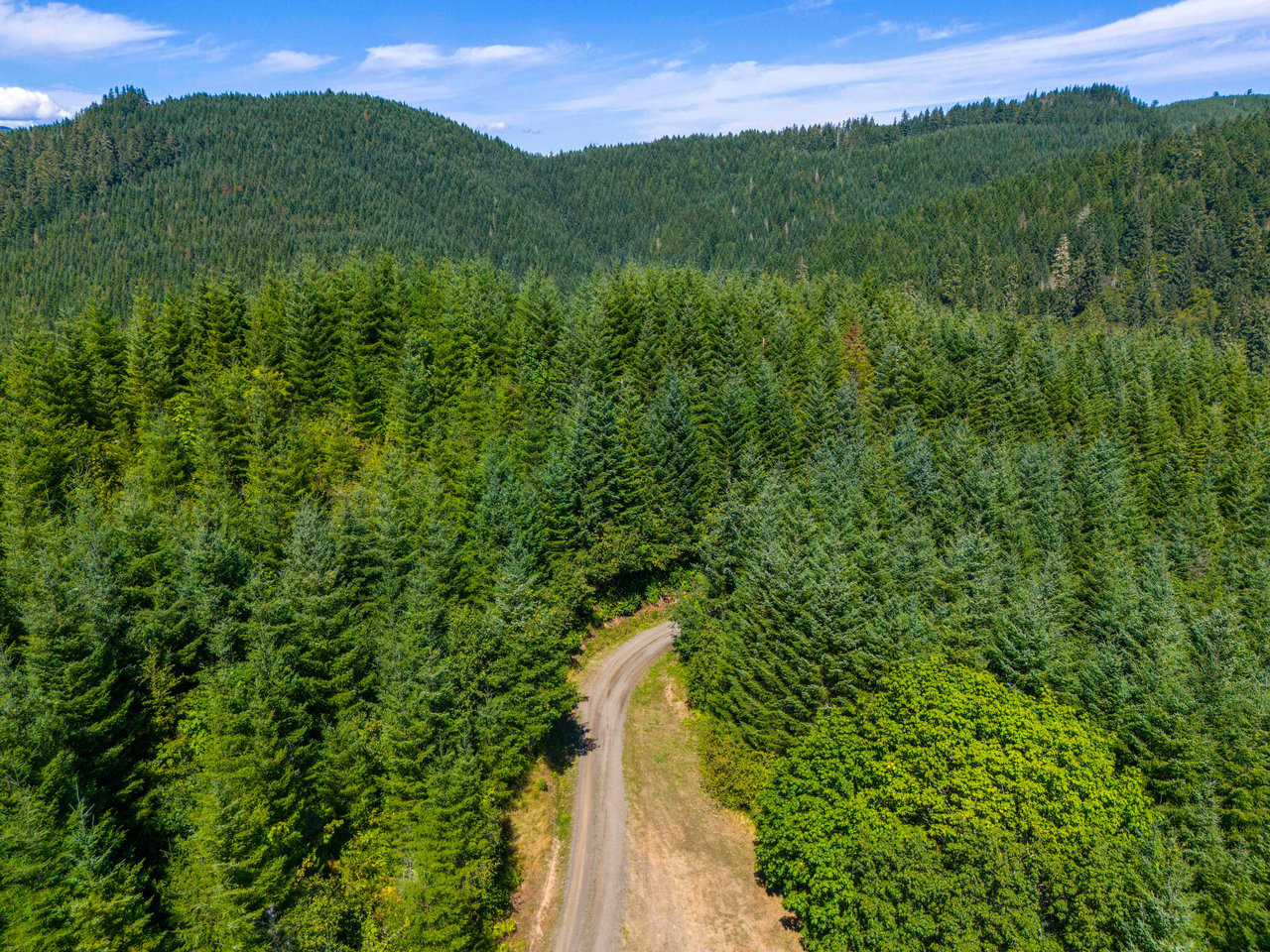 High Pass Tree Farm