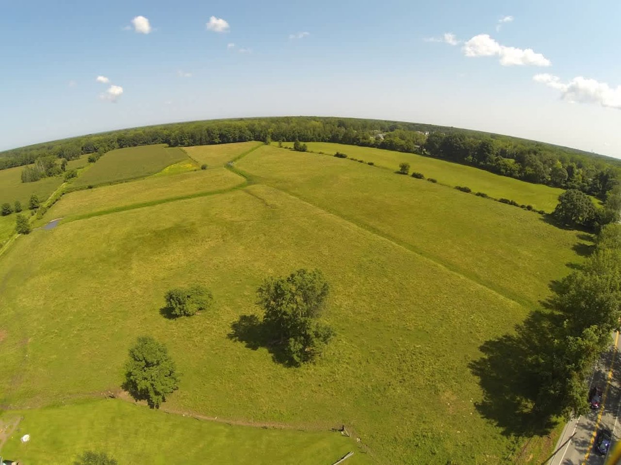 Cattle & Equine Farm