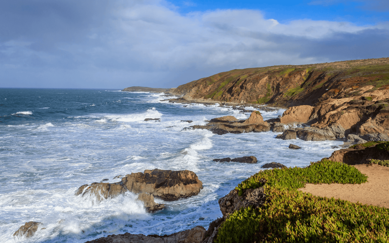 Bodega Bay