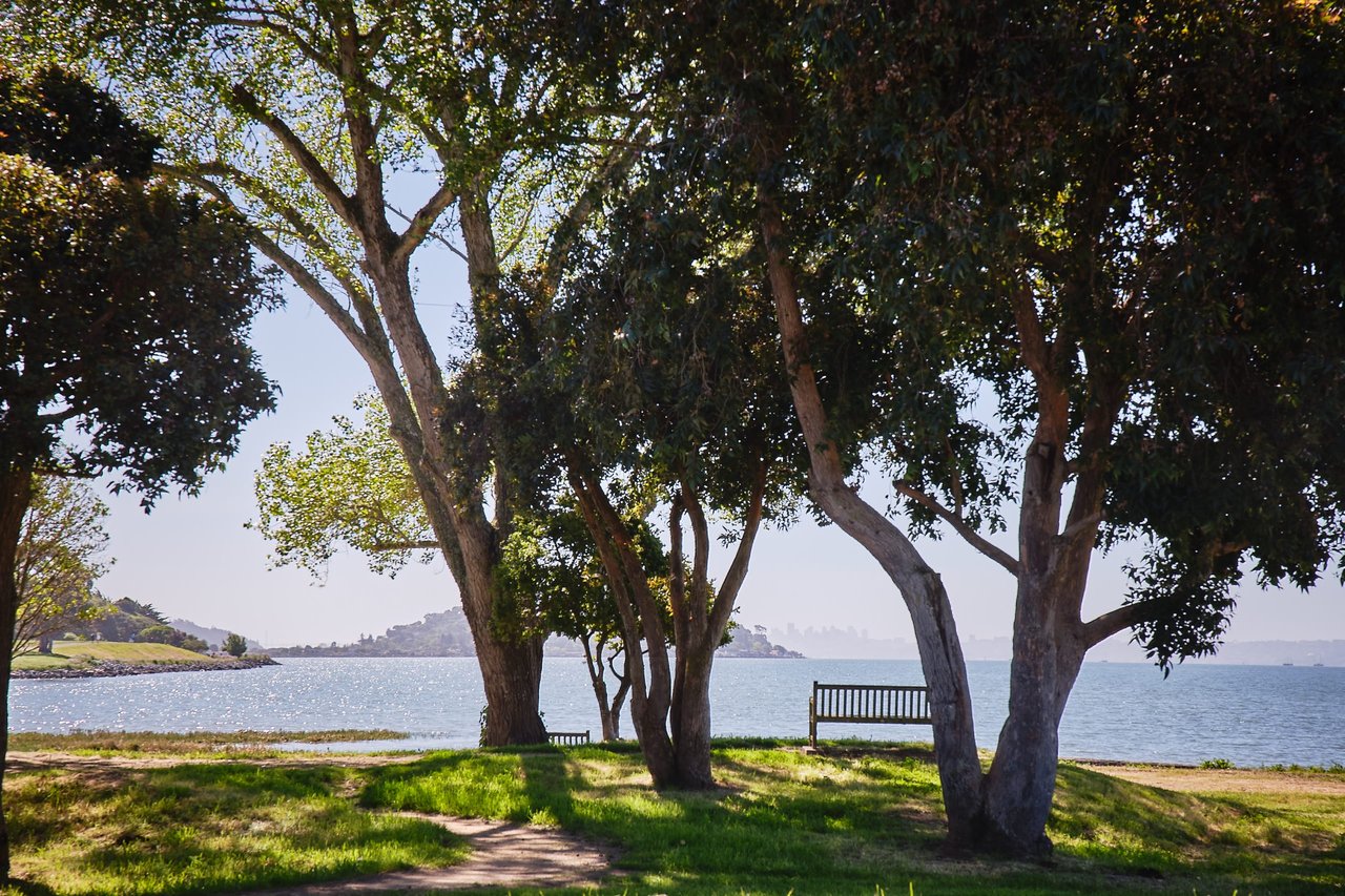 Marin County Real Estate | November 2020 Report