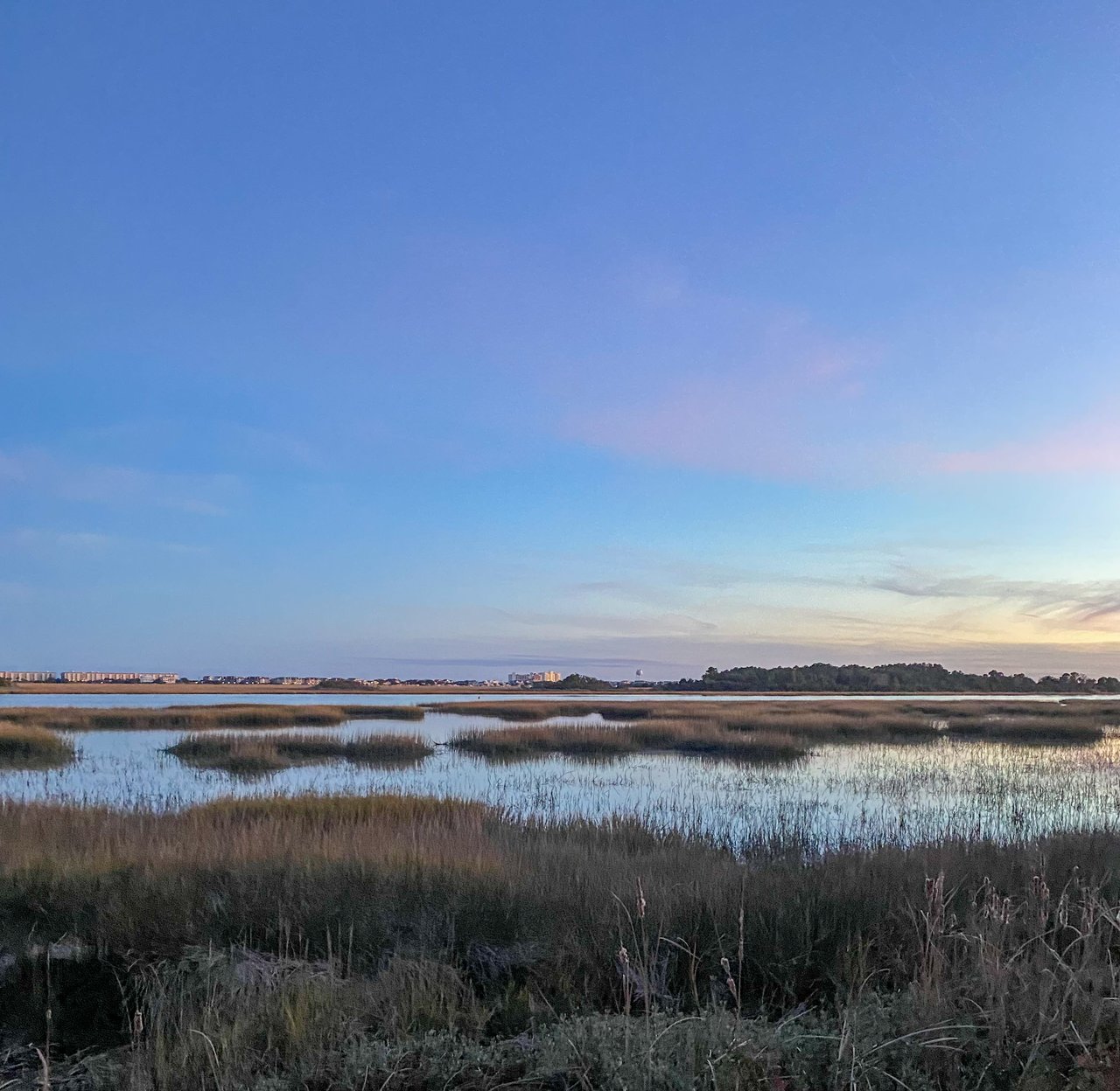 Wilmington: A Coastal Haven for Retirees