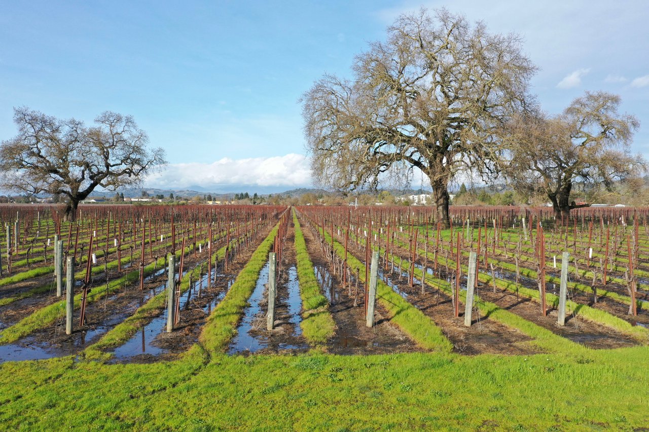 Nunes Vineyards & St. Rose Distillery