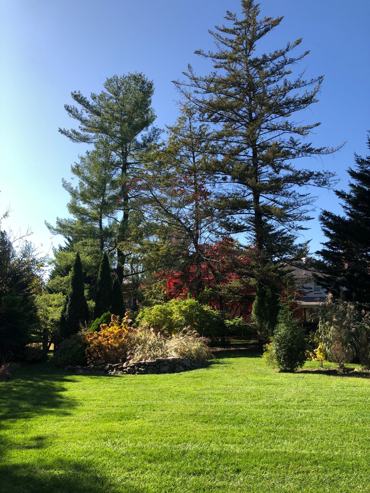 Villanova Beauty