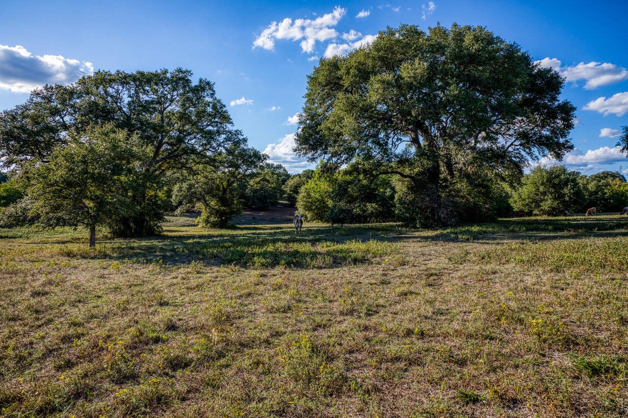 Oaks at Round Top- Tract 3