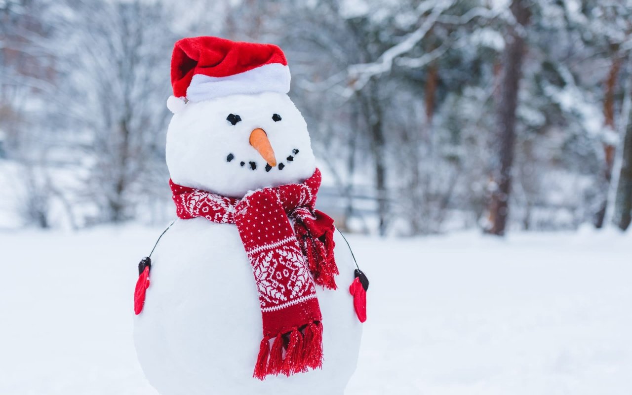 Snow Day Cleaning List