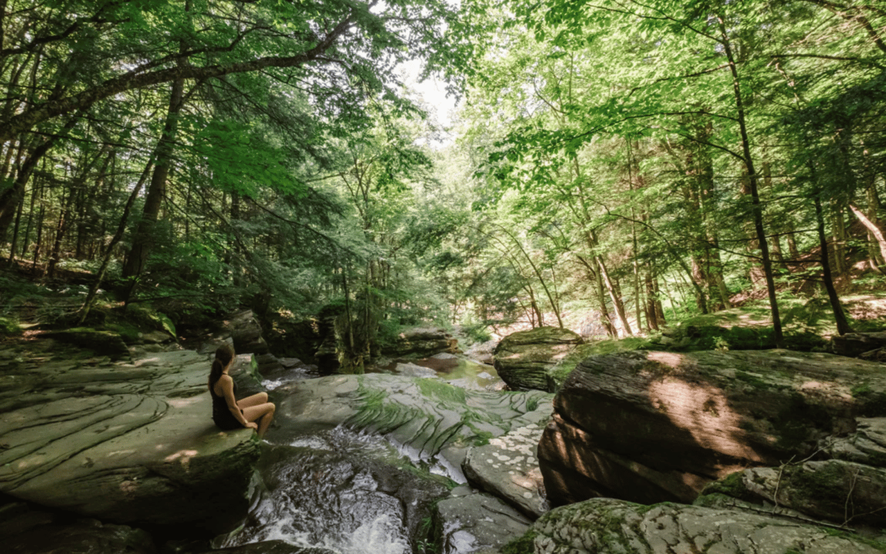 What to Expect From Your First Year of Catskills Living