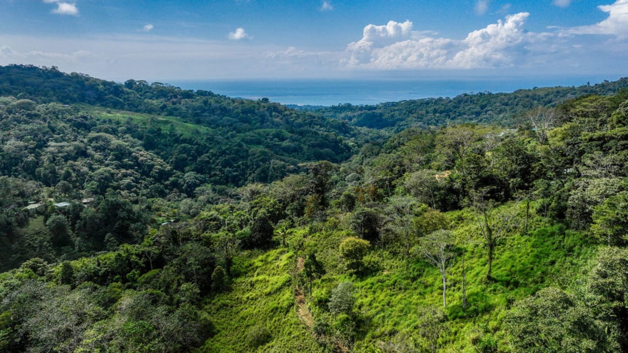 Waterfall Riverfront View Land, Uvita, Puntarenas