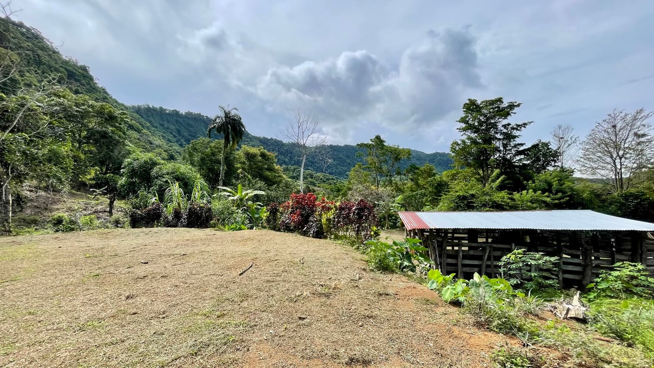 Stunning Ocean View Farm in San Luis de Morete, Over 23 Acres