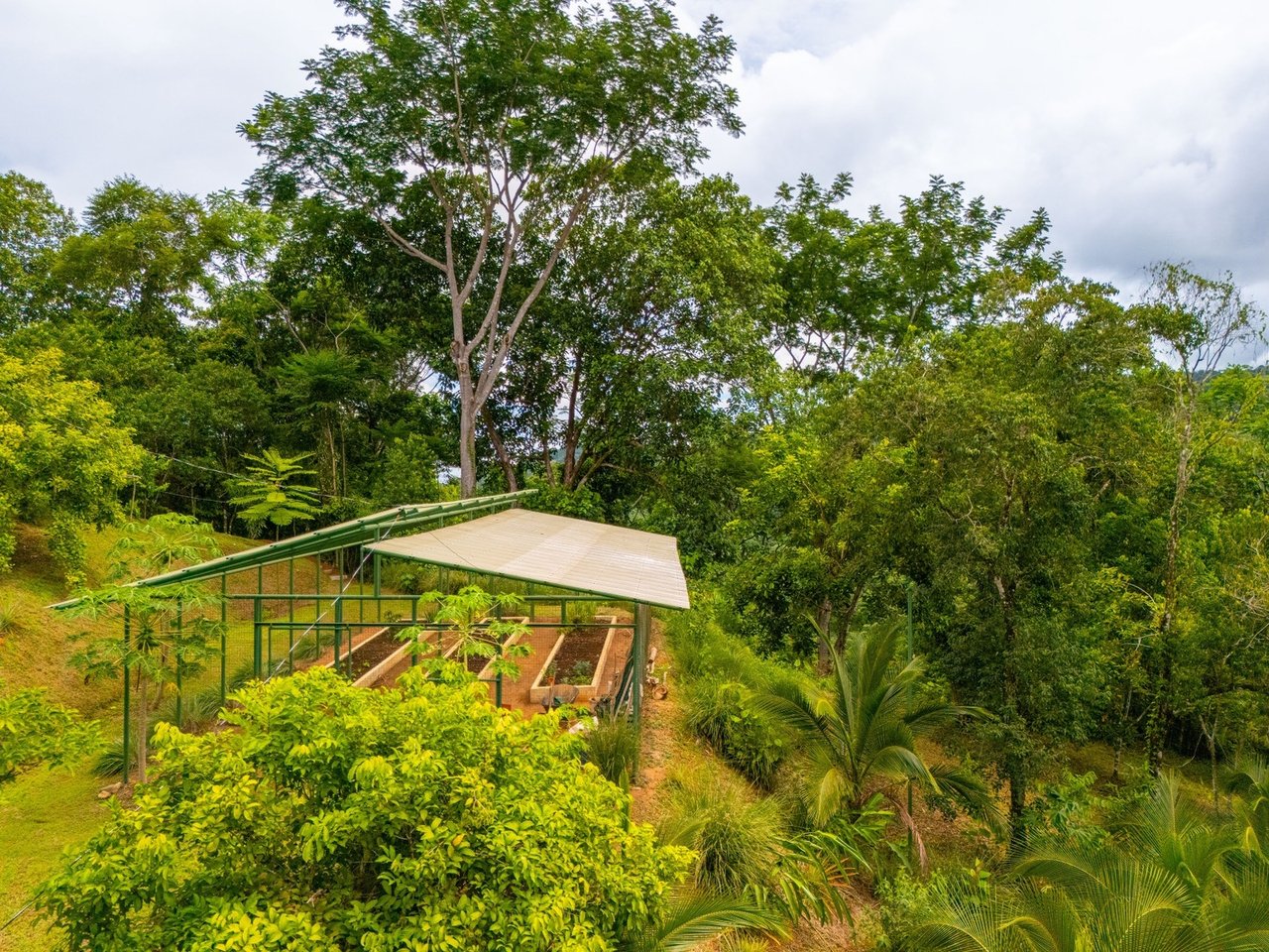 Waterfall Orchard Jungle Estate, Ojochal, Puntarenas