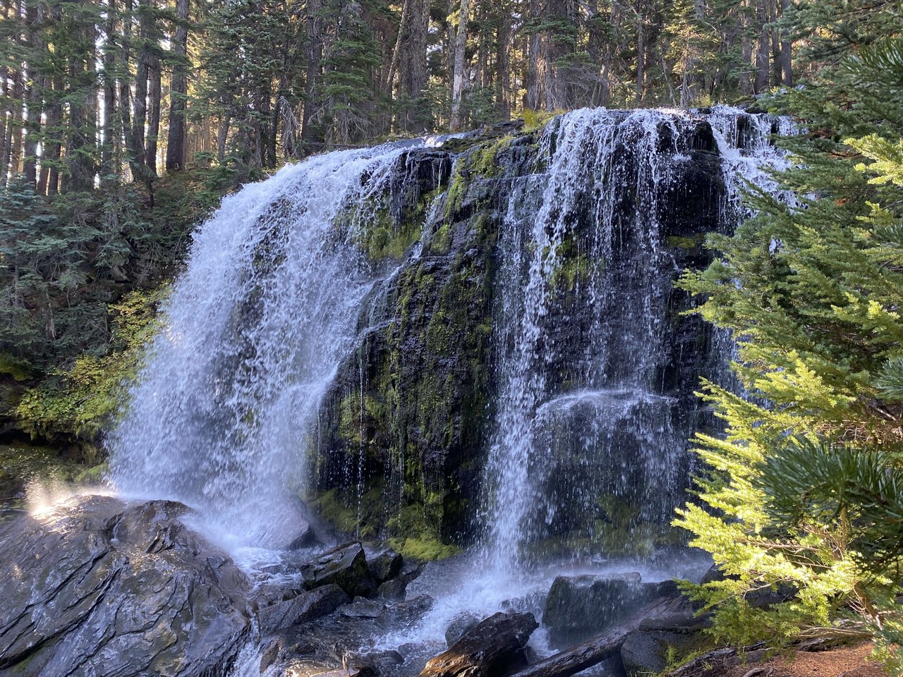 a picturesque waterfall surrounded by trees