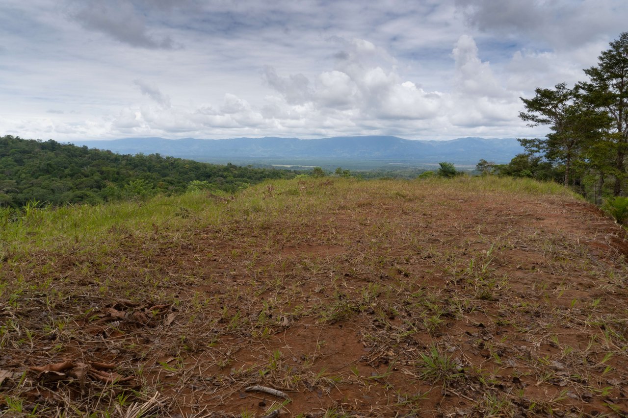 Sierpe Sunset and Jungle Views, 10 Acre Property, OSA!