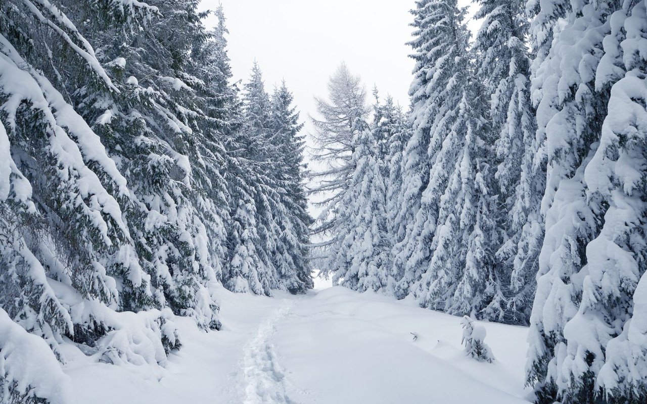 Winter Home Maintenance and Preparing For Freezes